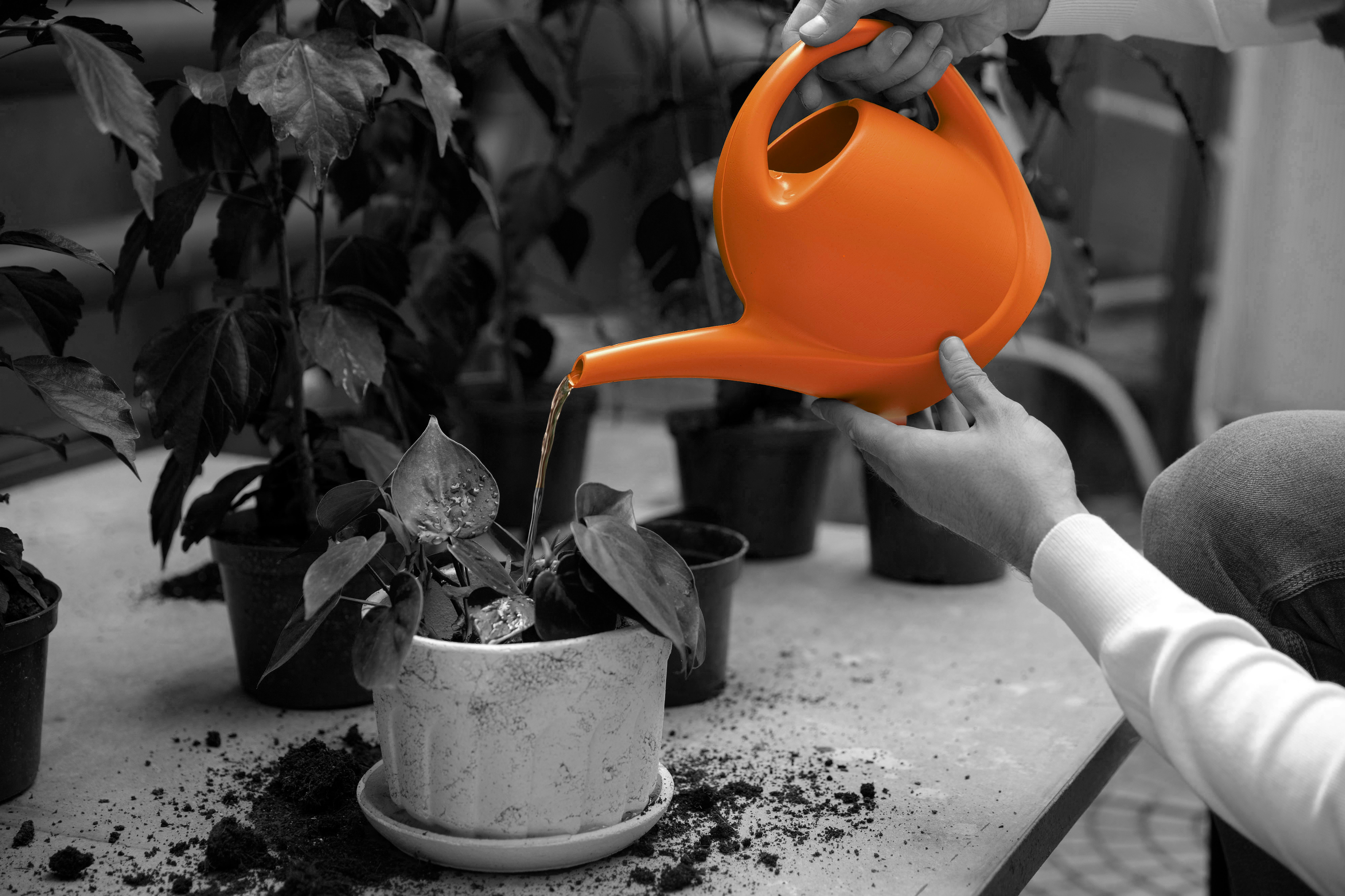 <p>¿Por qué y cómo elevar la ambición circular de la planta hotelera balear?</p>