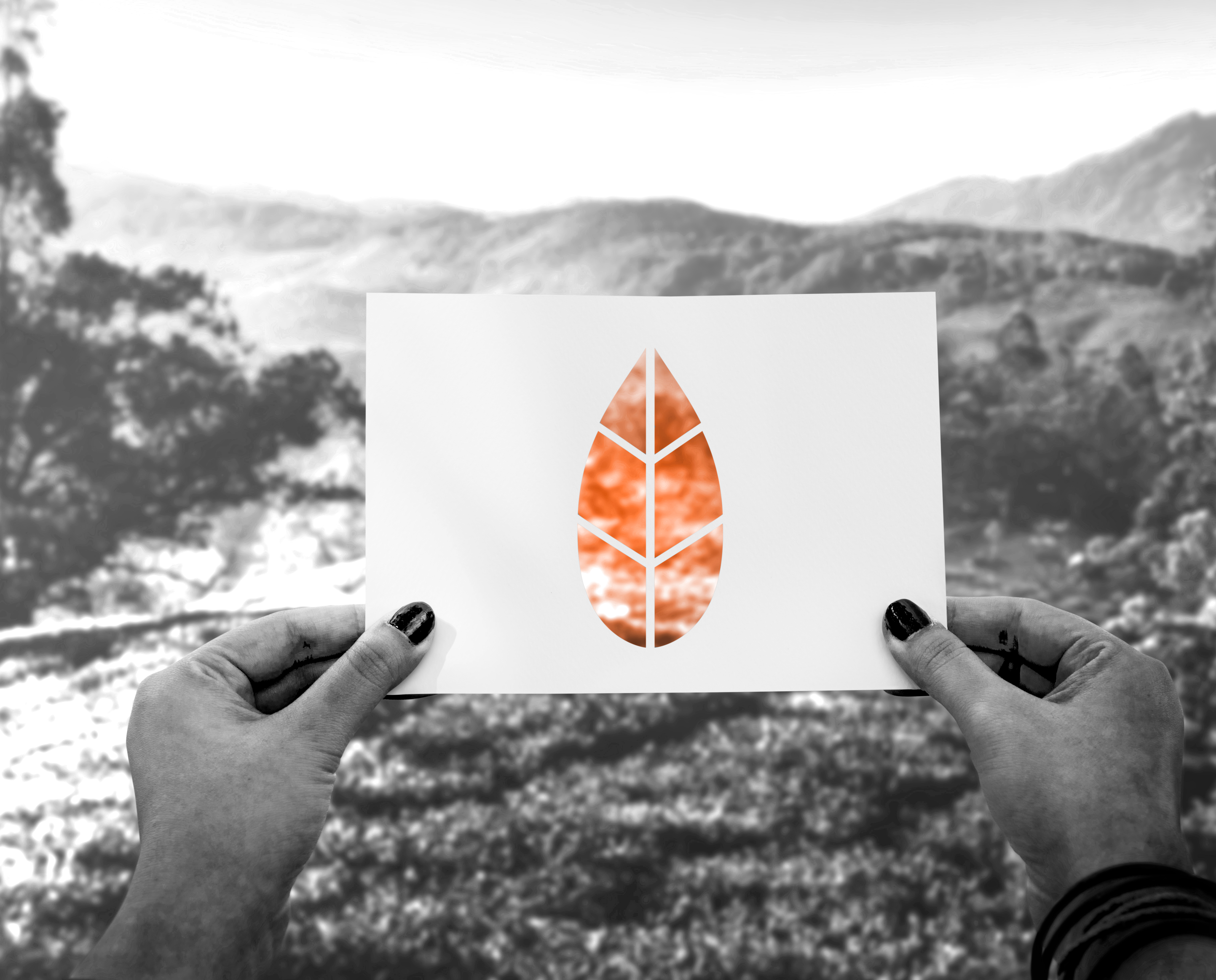 <p>¿Por qué invertir en sostenibilidad?</p>