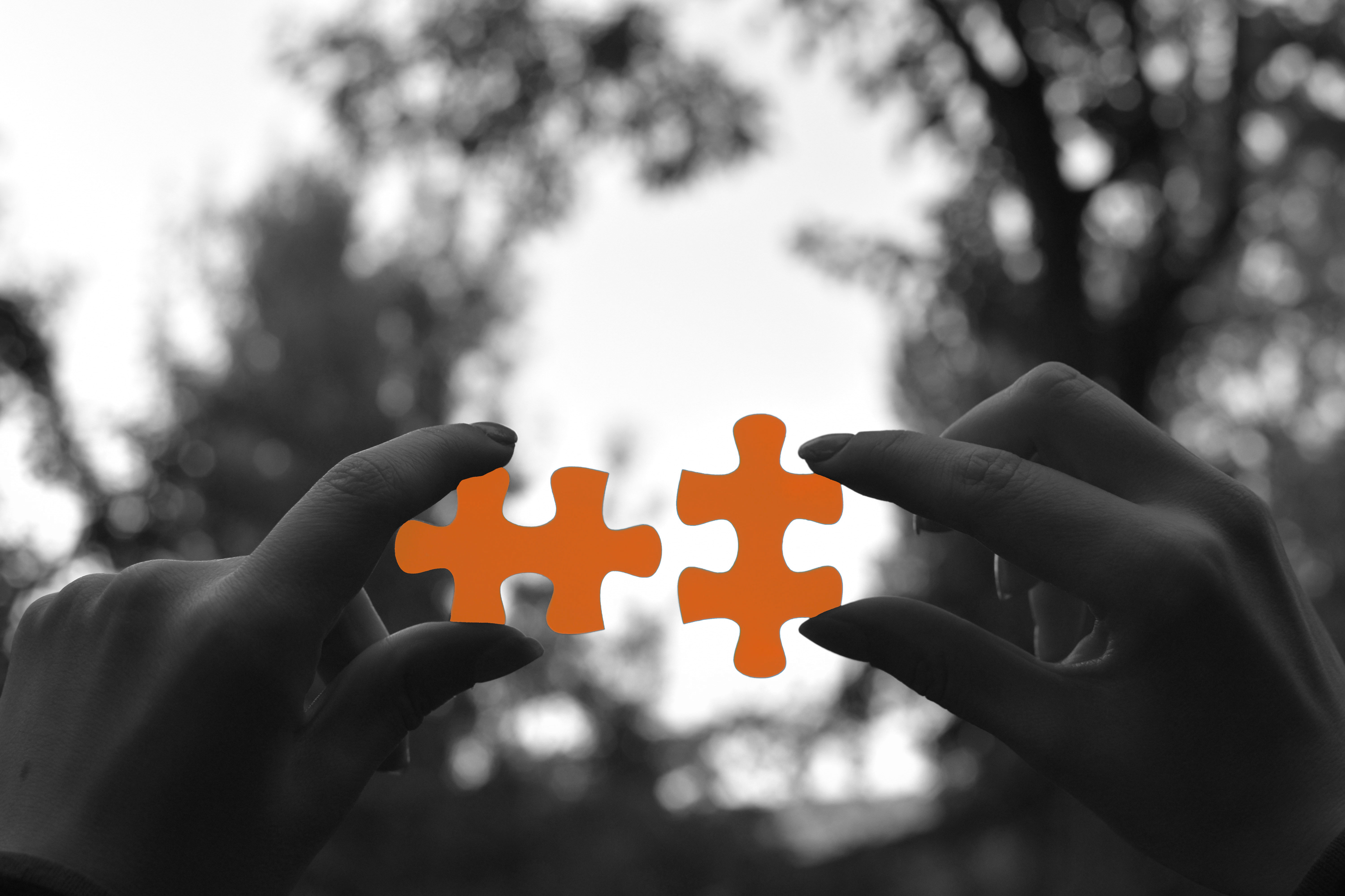 <p><em>Upskilling </em>y <em>reskilling</em>, dos estrategias clave para encajar las piezas del puzle del talento</p>