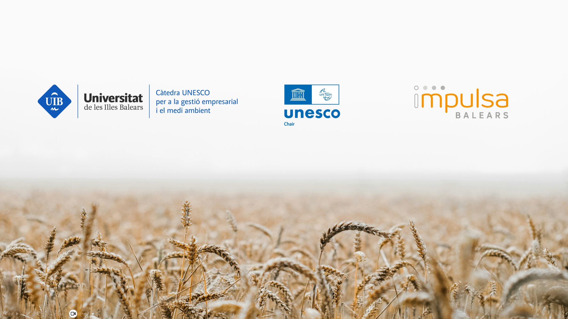 La UNESCO renova fins al 2029 la Càtedra UNESCO per a la gestió empresarial i el medi ambient