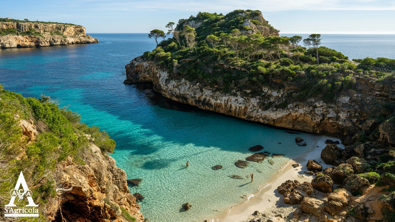 <p>Evolución del turismo en Mallorca</p>