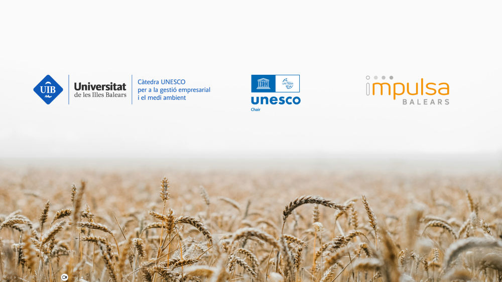 La UNESCO renova fins al 2029 la Càtedra UNESCO per a la gestió empresarial i el medi ambient